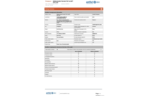 SummaryAuditReport-6