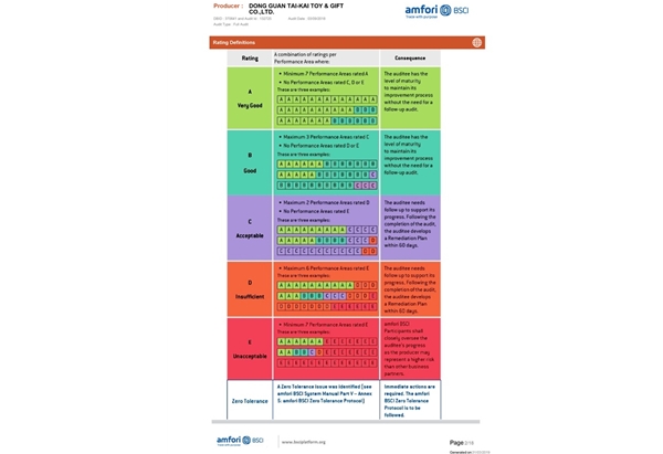 SummaryAuditReport-2